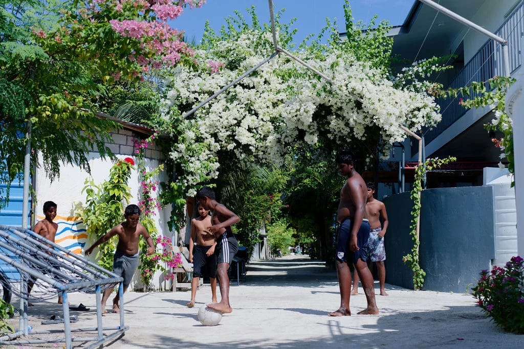 Children playing football on a sandy village street under flowering branches