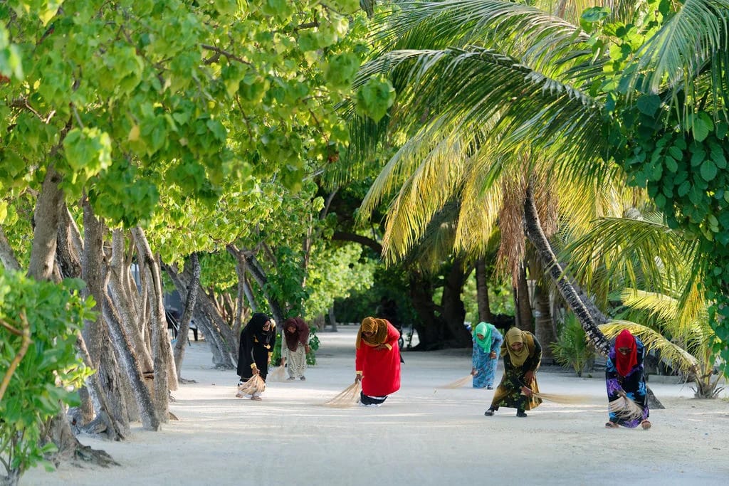 Residents sweeping a sandy lane shaded by palms and trees