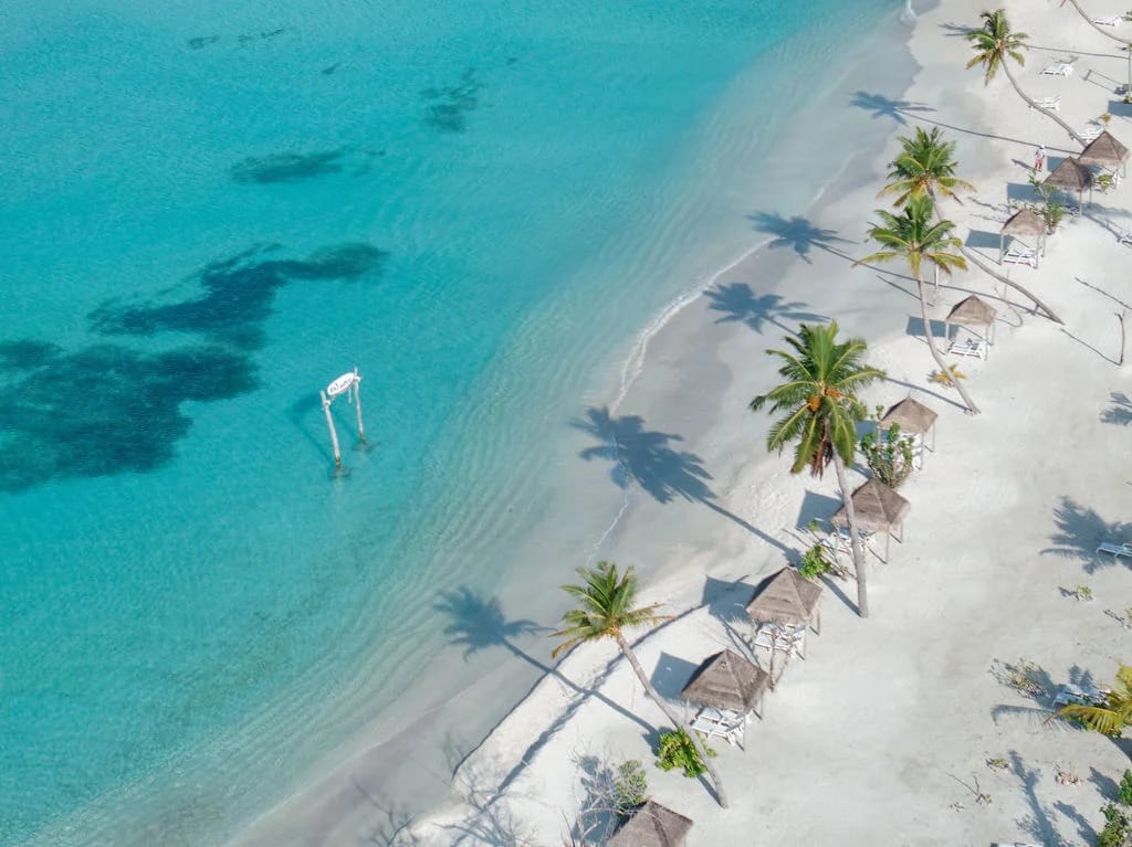 Palm trees and shaded shelters along a white beach beside a sea swing